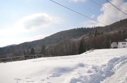 Teren intravilan,Sinaia,Cota 1000