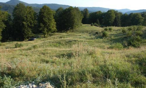 Teren intravilan,Sinaia,Cota 1000