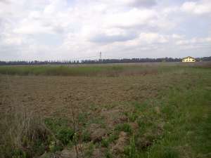 VAND URGENT 2 LOTURI DE TEREN EXTRAVILAN SITUATE LA 12 KM DE BUCURESTI 1.500 M2 2.3200M TOATE ACTELE LA ZII. IN CURAND VOR FII CONSTRUCTII IN ZONA. VAND SUB PRETUL PIETII TEL 0762996529