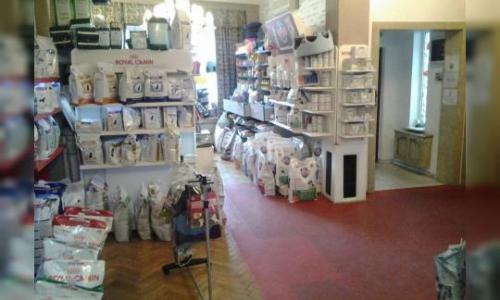 Vila in Doroganti-Floreasca, ideala comert, servicii sau birouri+locuit.