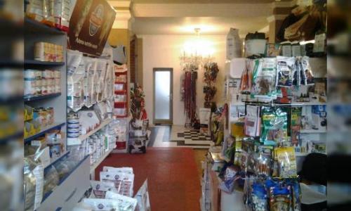 Vila in Doroganti-Floreasca, ideala comert, servicii sau birouri+locuit.