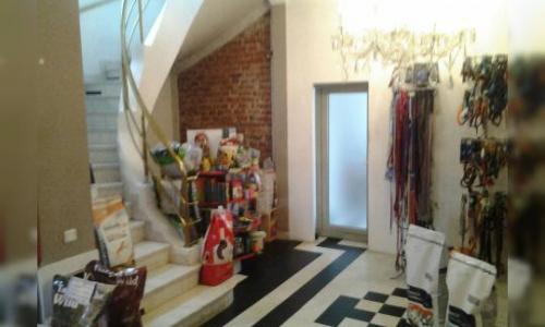 Vila in Doroganti-Floreasca, ideala comert, servicii sau birouri+locuit.