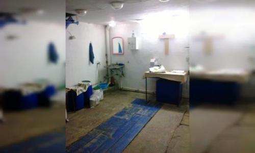 Vanda spatiu comercial la sosea-Timisoara