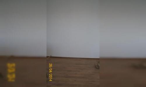 Apartament 2 camere, Rahova Sebastian (Telita)