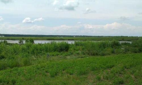 Teren la lac in Crevedia