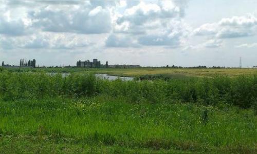Teren la lac in Crevedia