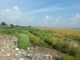 Teren de vanzare 9050mp, extravilan, Popesti-Leordeni, Ilfov