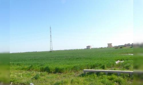 Teren de vanzare 9050mp, extravilan, Popesti-Leordeni, Ilfov