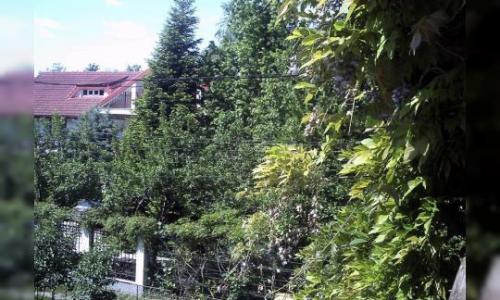 Vand teren 1000 mp si casa mansardata stil rustic , zona rezidentiala de padure deosebit de frumoasa si linistita cu grad de seguritate ridicat