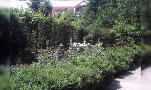 Vand teren 1000 mp si casa mansardata stil rustic , zona rezidentiala de padure deosebit de frumoasa si linistita cu grad de seguritate ridicat