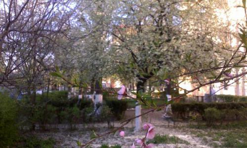 Proprietar, inchiriez ap 2 camere, spatios, Giurgiului