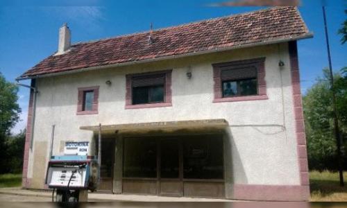 Vand Casa rezidentiala+Cladire comerciala+Statie Peco in Carpinis, Timis(1000mp).