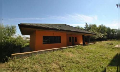 Vand Casa rezidentiala+Cladire comerciala+Statie Peco in Carpinis, Timis(1000mp).