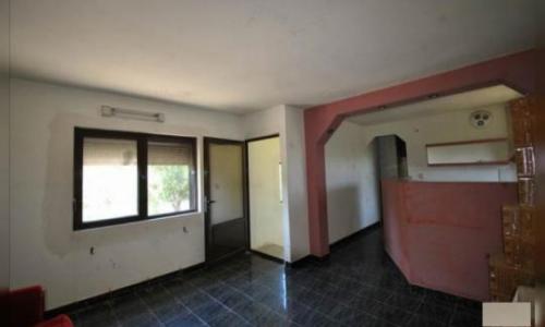 Vand Casa rezidentiala+Cladire comerciala+Statie Peco in Carpinis, Timis(1000mp).