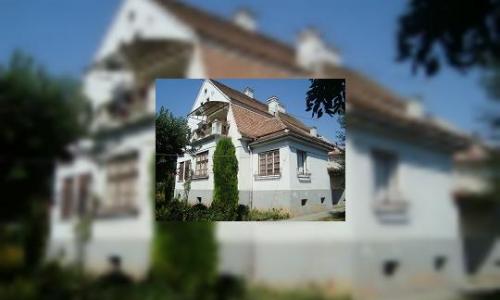 Vand apartament la casa cu teren!