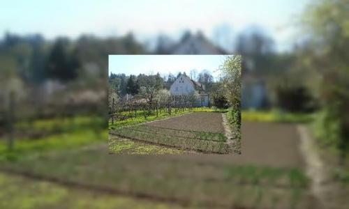 Vand apartament la casa cu teren!