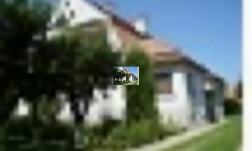 Vand apartament la casa cu teren!