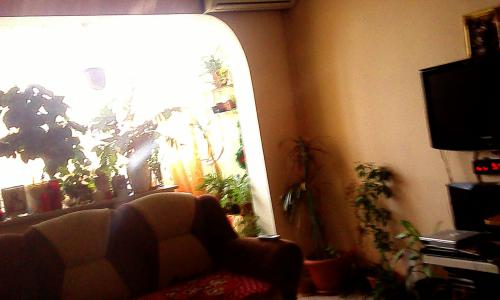 Apartament 2 camera Dr. Taberei , zona verde langa parc