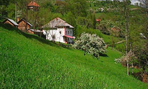 Casa minunata super pret!