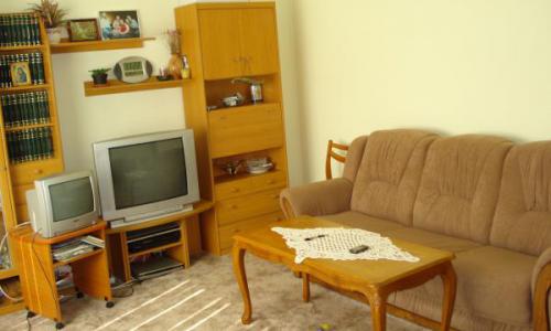 APARTAMNET 3 CAMERE, ET.1, STR CANTACUZINO ( PISICA ALBA ) , PLOIESTI ,62000 EURO