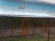 Vand casa + teren arabil cu livad? 5000 mp, ?n localitatea P?t?rlagele, jud. Buz?u