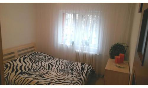 apartament 3 camere Lipovei