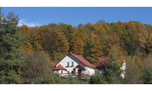 Vila cu garaj separat ( 350 mp.construita in 2011 cu 12000 mp teren )