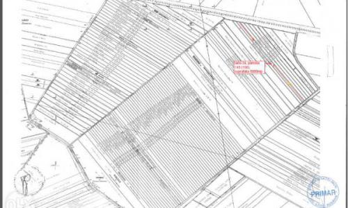 Teren de vanzare 5000mp Pantelimon Tarla 24-Centura