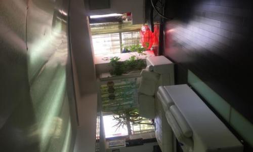 APARTAMENT LUX OPEN SPACE