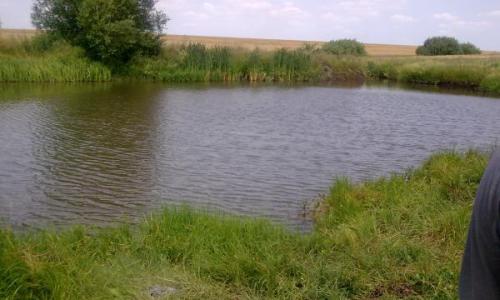 Teren agricol 30600 m/p+balta cu peste