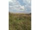 Teren agricol 30600 m/p+balta cu peste