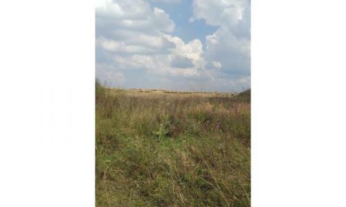 Teren agricol 30600 m/p+balta cu peste