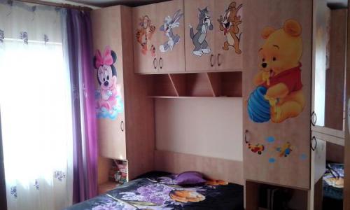 proprietar, 2 camere, drumul taberei