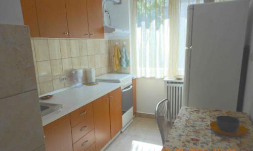 Inchiriere apartament 2 camere, zona Teiul Doamnei