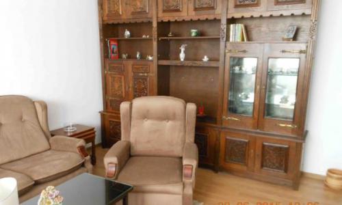 Inchiriere apartament 2 camere, zona Teiul Doamnei