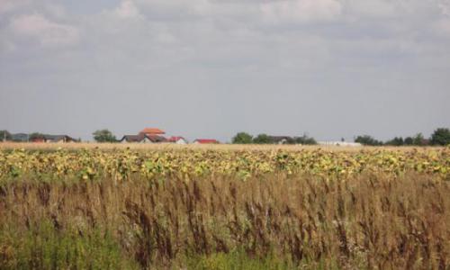 Vand Teren Samurcasi (Buftea - Crevedia)