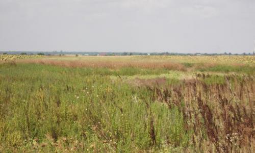 Vand Teren Samurcasi (Buftea - Crevedia)
