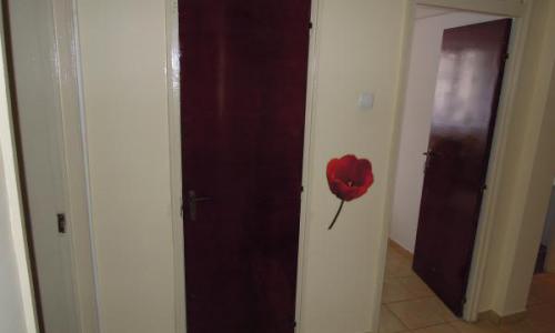 Proprietar, Particular - Inchiriere apartament 2 camere - Teiul Doamnei