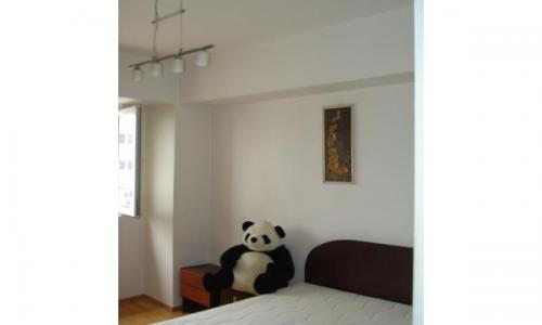 Vand apartament 3 camere Piata Victoriei - Titulescu, vedere deoasebita