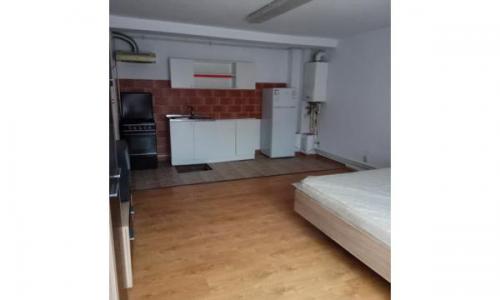 Garsoniera , 30mp, parter, la curte, Intrare separata.O camera cu bucatarie, frigider, hota, aragaz, centrala proprie, baie (masina de spalat)Mobila noua.5 minute pana la Metrou Eroii Revolutiei