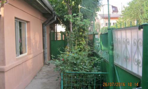 Urgent casa curte
