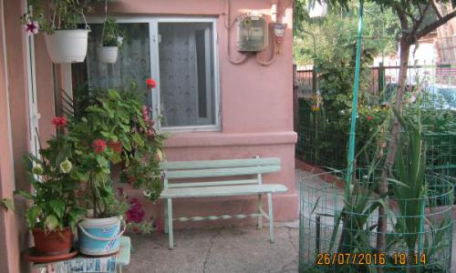 Urgent casa curte
