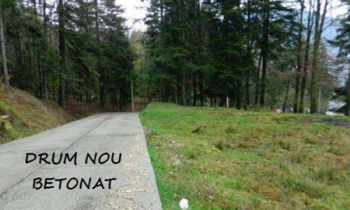 Teren intravilan Sinaia 500mp
