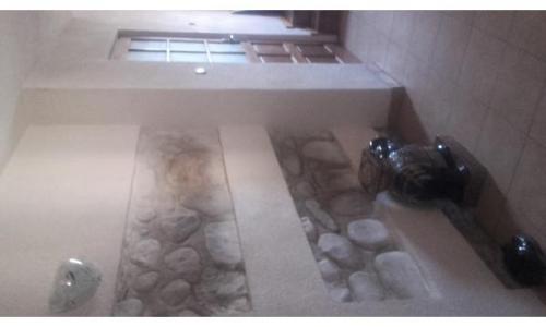 Vind casa stil conac