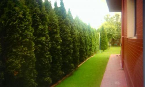 Vila de execeptie, linga padure, liniste si aer curat, la 10 min de Bucuresti