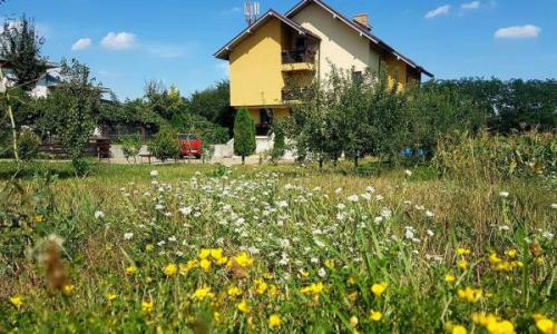 Vila si teren de 4200m2 in Suceava