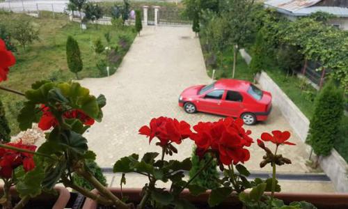 Vila si teren de 4200m2 in Suceava