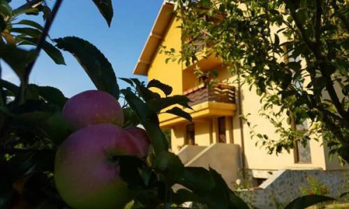Vila si teren de 4200m2 in Suceava