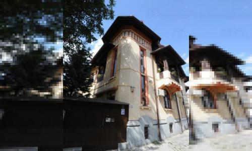 2 case/vile(390mpc) in aceeasi curte, Centrul Istoric, Ultracentral, Cismigiu.