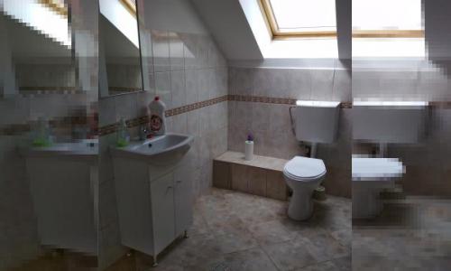 Dau in chirie mansarda casa pentru birouri, mobilata, utilata